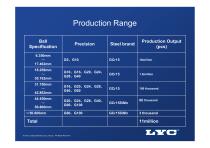 LYC Bearing Components - 9