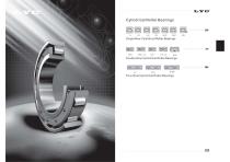 LYC Cylindrical Roller Bearings - 1