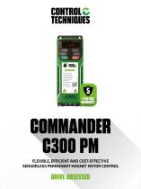 Commander C300 PM Flyer - 1