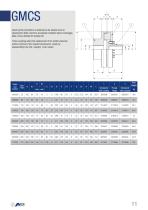 Flexible Coupling - 13