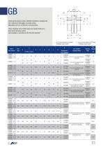 Flexible Coupling - 23