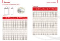 Changhong/battery - 6