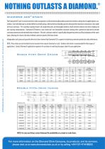 Corrosion Resistant Chain-2
