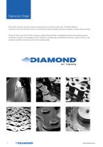 E0424 GB Diamond chain 2024-2