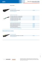 GSF2-4