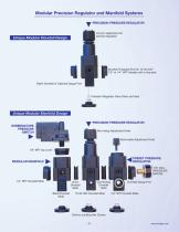 Modular precision regulators and manifold systems - 3