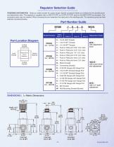 Modular precision regulators and manifold systems - 5