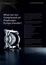 Air Operated Double Diaphragm Pumps (AODD)-7