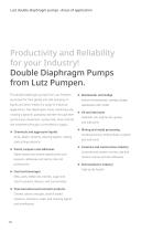 Air Operated Double Diaphragm Pumps (AODD)-8