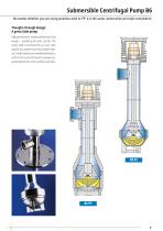 Vertical and horizontal Centrifugal Pumps-7