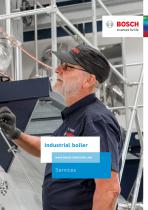Service for industrial boilers from Bosch-1