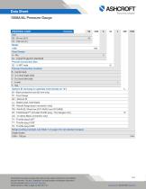 1008A/AL Pressure Gauge-2