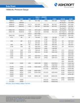 1008A/AL Pressure Gauge-3