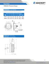 1008A/AL Pressure Gauge-5