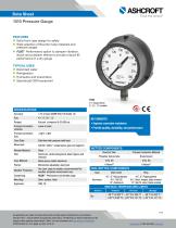 1010 Pressure Gauge-1