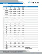 1010 Pressure Gauge-3