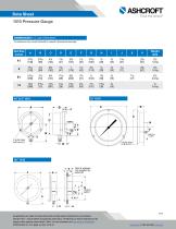 1010 Pressure Gauge-4