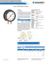 1038A Duplex Pressure Gauge-1