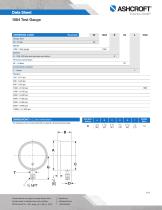 1084 Test Gauge-2