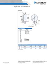 1109 Pressure Gauge - 2