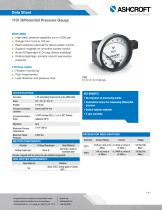 1131 Differential Pressure Gauge - 1