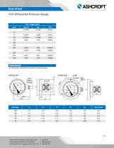 1131 Differential Pressure Gauge - 3