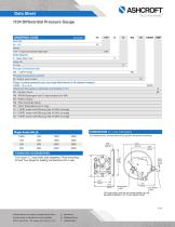 1134 Differential Pressure Gauge - 2