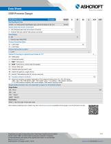1259 Process Gauge-2