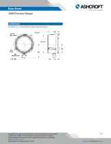 1259 Process Gauge-4