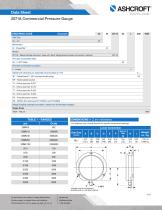 2071A Commercial Pressure Gauge - 2