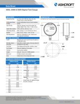 2084, 2086 & 2089 Digital Test Gauge 2025-3