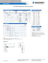 CI Bimetal Thermometer - 2