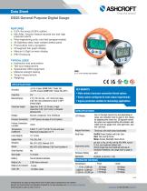 DG25 General Purpose Digital Gauge-1