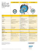 Download Digital Gauge Quick Guide - 2