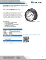 High-Pressure Instrumentation for Water Jet and Water Blaster Applications-2