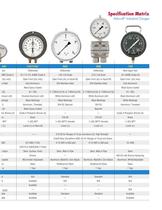 Industrial Gauges Type 1017 -5