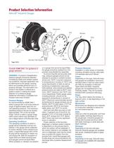 Industrial Gauges Type 1017 -6