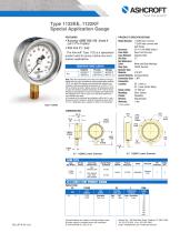 Type 1122KE, 1122KF Special Application Gauge - 1