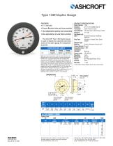 Type 1339 Duplex Gauge - 1