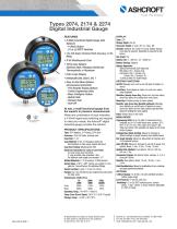 Types 2074, 2174 & 2274 Digital Industrial Gauge - 1