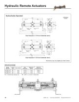 Hydraulic Remote Actuators - 10