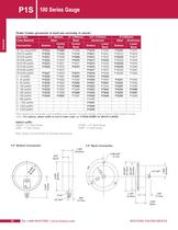 P1S 100 Series Pressure Gauge - 2