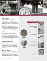 Winters 3A Sanitary Gauge - 2