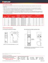Combined Branch Protection and Semiconductor Fusing-2