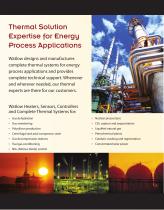 Energy Process-3