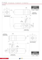 FHM - MANIFOLD-12