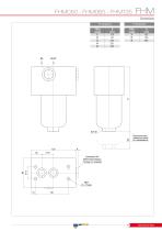 FHM - MANIFOLD-15