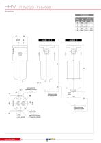 FHM - MANIFOLD-20