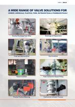Bulk Solids-2