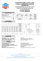 TYPE 200206-2
